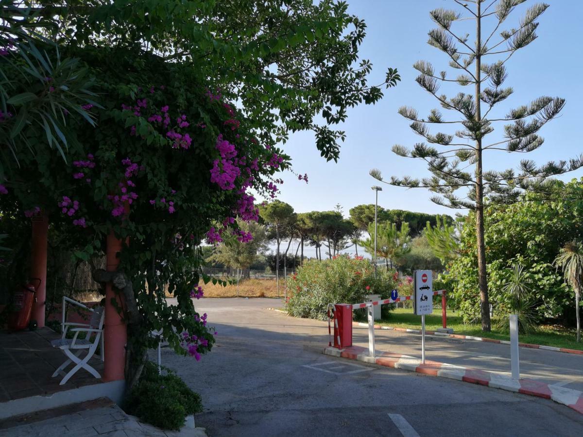Parque de Campismo La Buganvilla Marbella