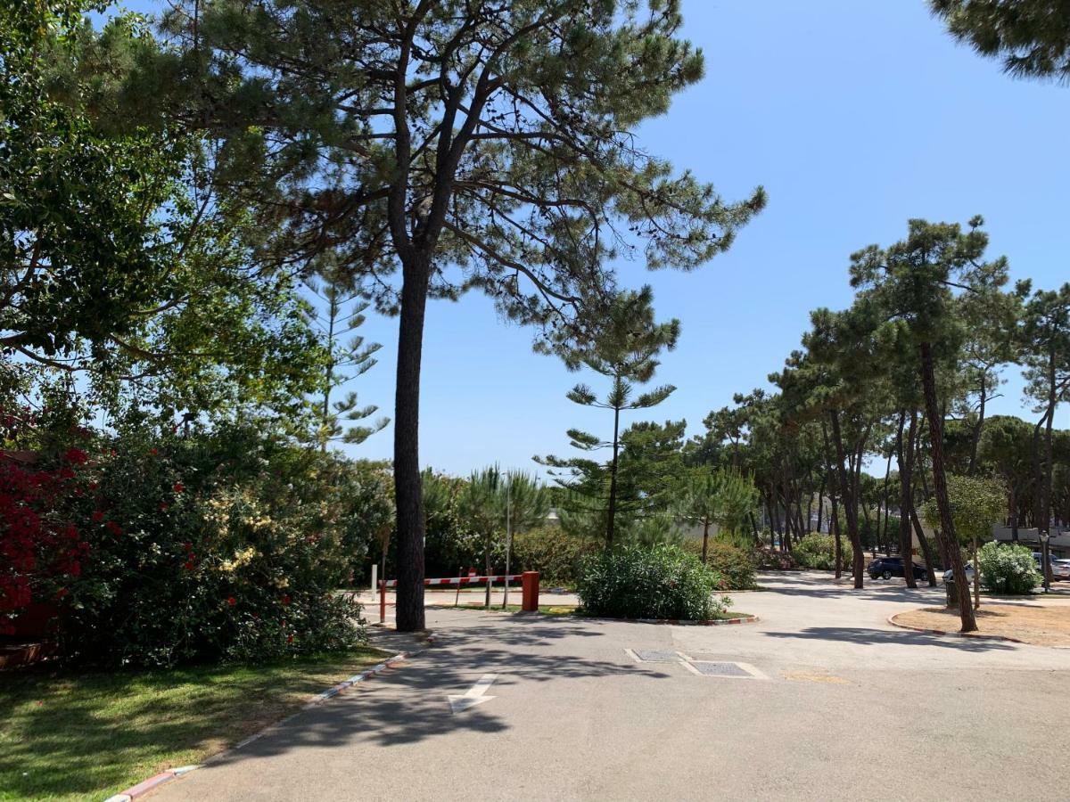 La Buganvilla Parque de Campismo